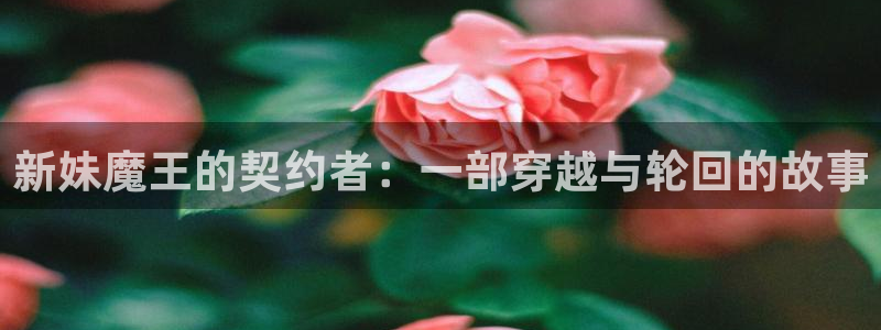韩漫双男免费观看下拉式漫画：新妹魔王的契约者：一部穿越与轮回的故事