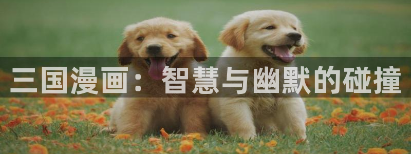 什么网站可以看韩漫免费啊：三国漫画：智慧与幽默的碰撞