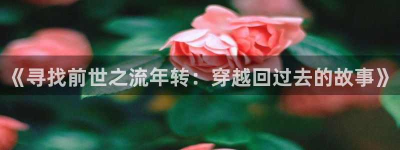 韩漫漫画画免费读漫画下拉式漫画：《寻找前世之流年转：穿越回过去的故事》