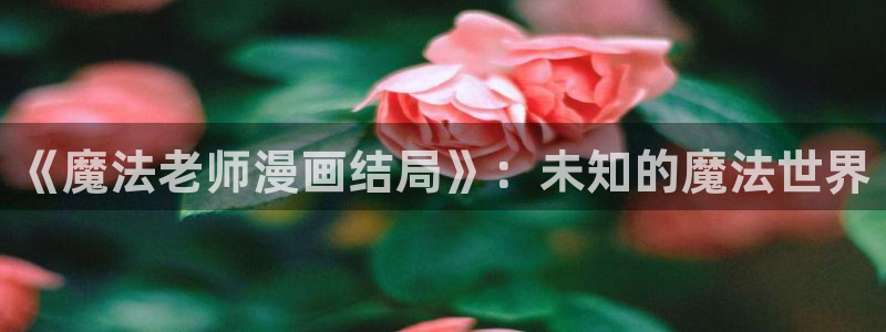 韩漫囚禁漫画：《魔法老师漫画结局》：未知的魔法世界